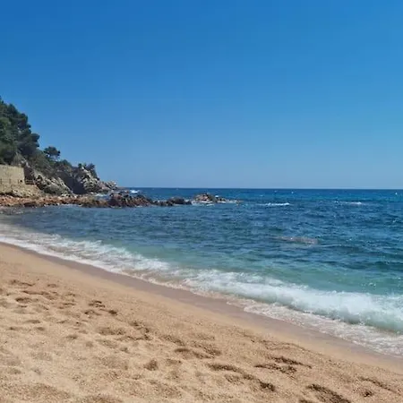 Apartment Mit Bergblickterrasse Bei Lloret De Mar Vidreres