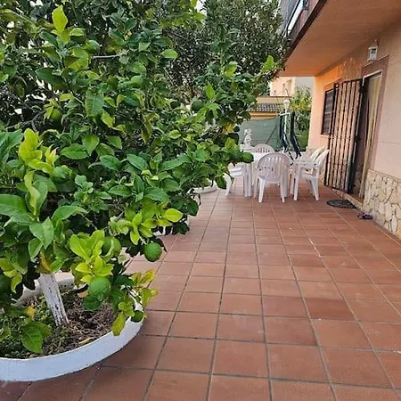 Apartment Mit Bergblickterrasse Bei Lloret De Mar